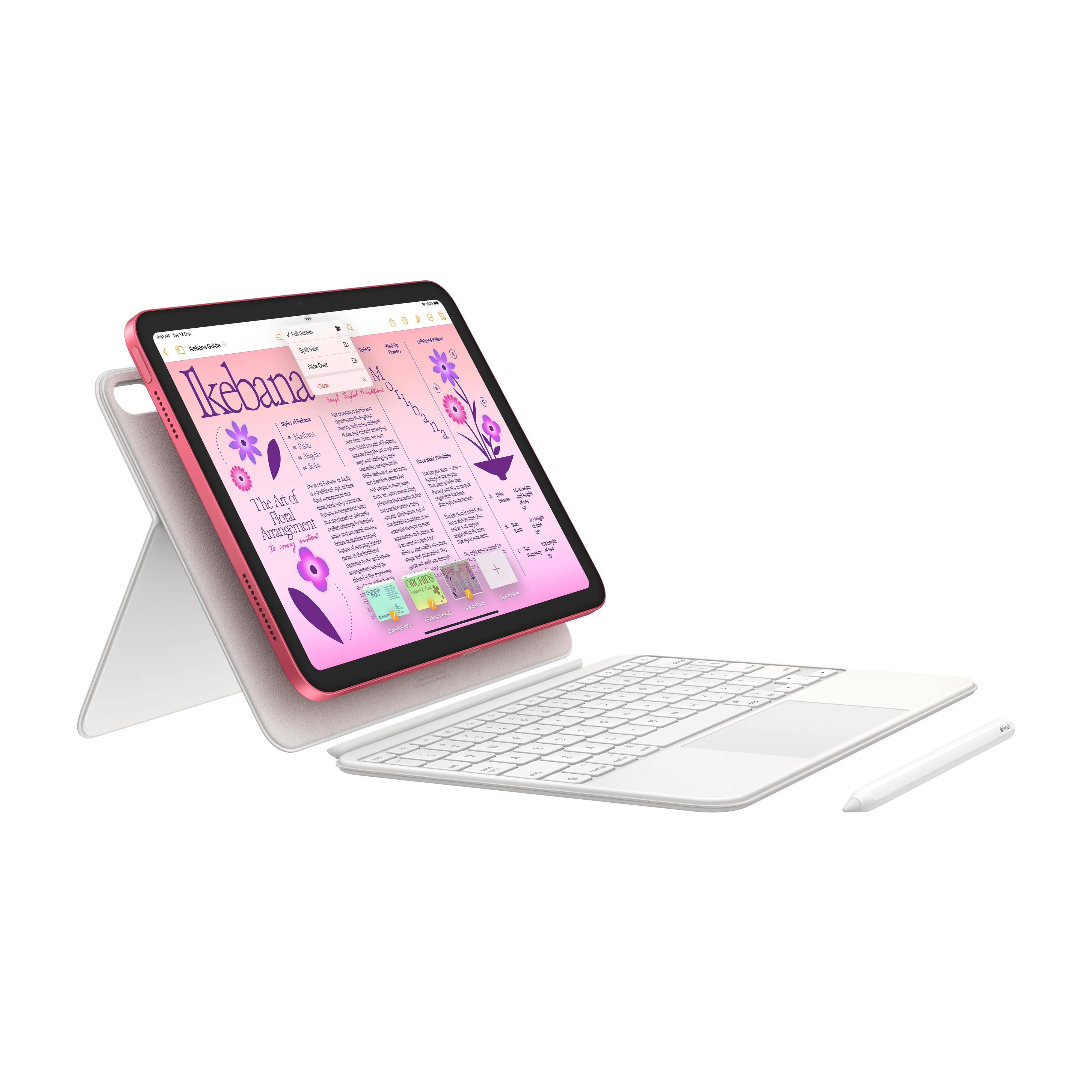 10.9-inch iPad Wi-Fi + Cellular 256GB - Silver (10th generation) - Image 8